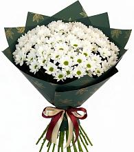 Букет цветов из:  Хризантемы #REPLACE_PRED# Старой Калитве