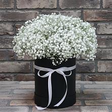 Цветочная композиция из Гипсофила в шляпной коробке в Старой Калитве