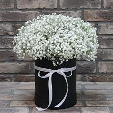 Цветочная композиция из Гипсофила в шляпной коробке в Старой Калитве